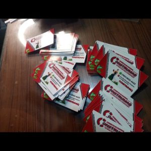 Cartão de visita Frente Colorida 100 Unidades